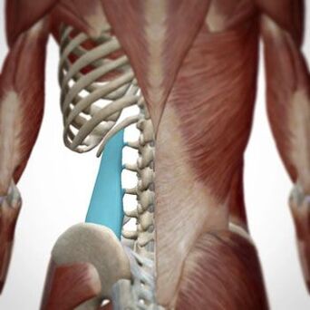 Bolesť sa môže objaviť v rôznych oblastiach chrbta