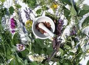 bylinky na liečbu osteochondrózy